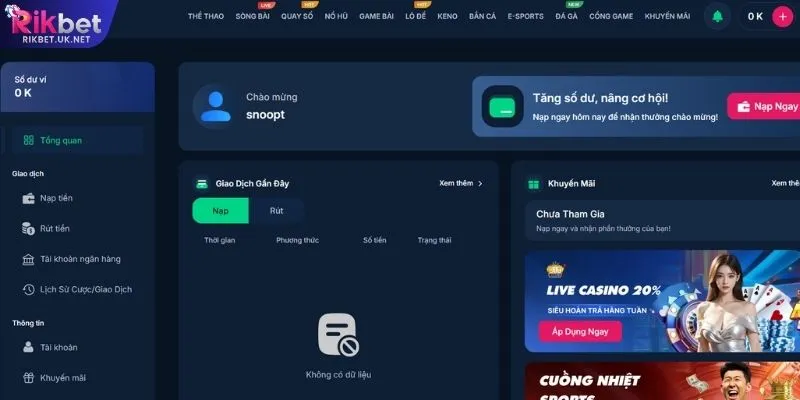 Khám Phá Giao Diện Giải Trí RIKBET Với Thiết Kế Hiện Đại - jefuzi